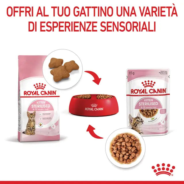 Abbinamento crocchette e umido Royal Canin Kitten Sterilised per gattini sterilizzati Abbinamento crocchette e umido Royal Canin Kitten Sterilised per gattini sterilizzati
